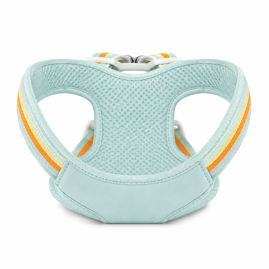 Pets N Potions Reflective No Pull Dog Harness and Leash Set – Adjustable Soft Mesh Vest Harness – Mint Green (1)