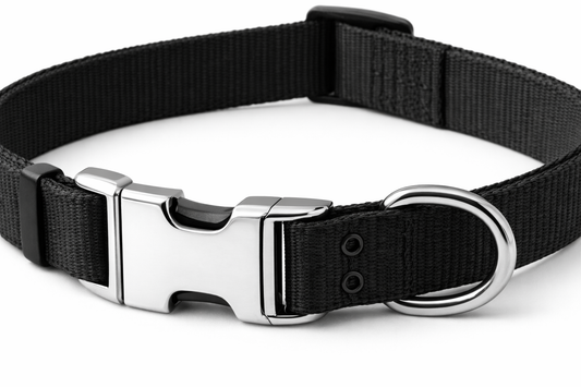 Adjustable Dog Collar – Nylon Collar with Metal Buckle & D-Ring