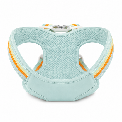 Pets N Potions Reflective No Pull Dog Harness and Leash Set – Adjustable Soft Mesh Vest Harness – Mint Green (1)