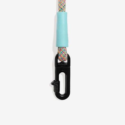 Gravity | FlexiWalk Leash