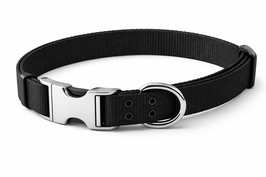 Adjustable Dog Collar – Nylon Collar with Metal Buckle & D-Ring