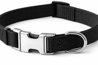 Adjustable Dog Collar – Nylon Collar with Metal Buckle & D-Ring