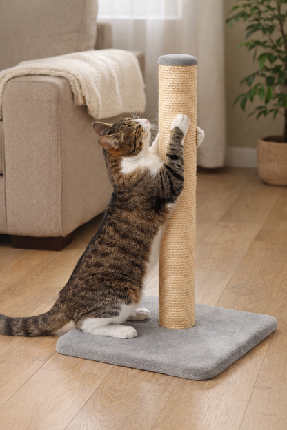 Cat Scratching Post – Sisal Rope Scratcher with Base