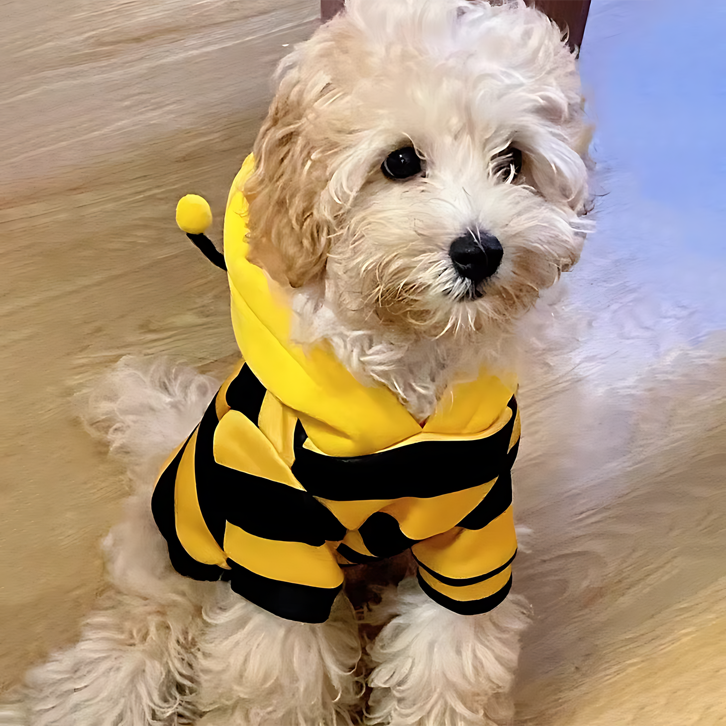 Cute Bee Pet Hoodie – Warm Winter Costume for Dogs & Cats