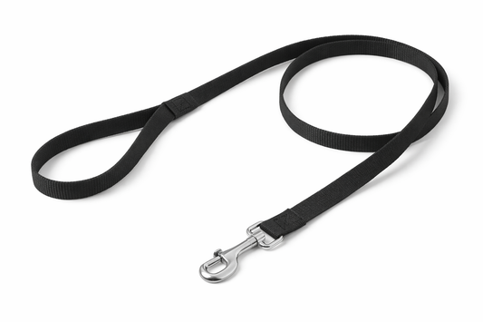 Durable Nylon Dog Leash – Strong Metal Clip & Comfortable Handle